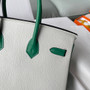Hermès Limited Edition Horseshoe Birkin 25 Bag Gris Perle/Velvet Green