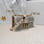 Christian Dior 30 Montaigne East-West Oblique Canvas Bag