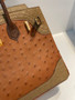 Hermès Birkin 30 Ghillies Tri-Color Ostrich Gold Hardware