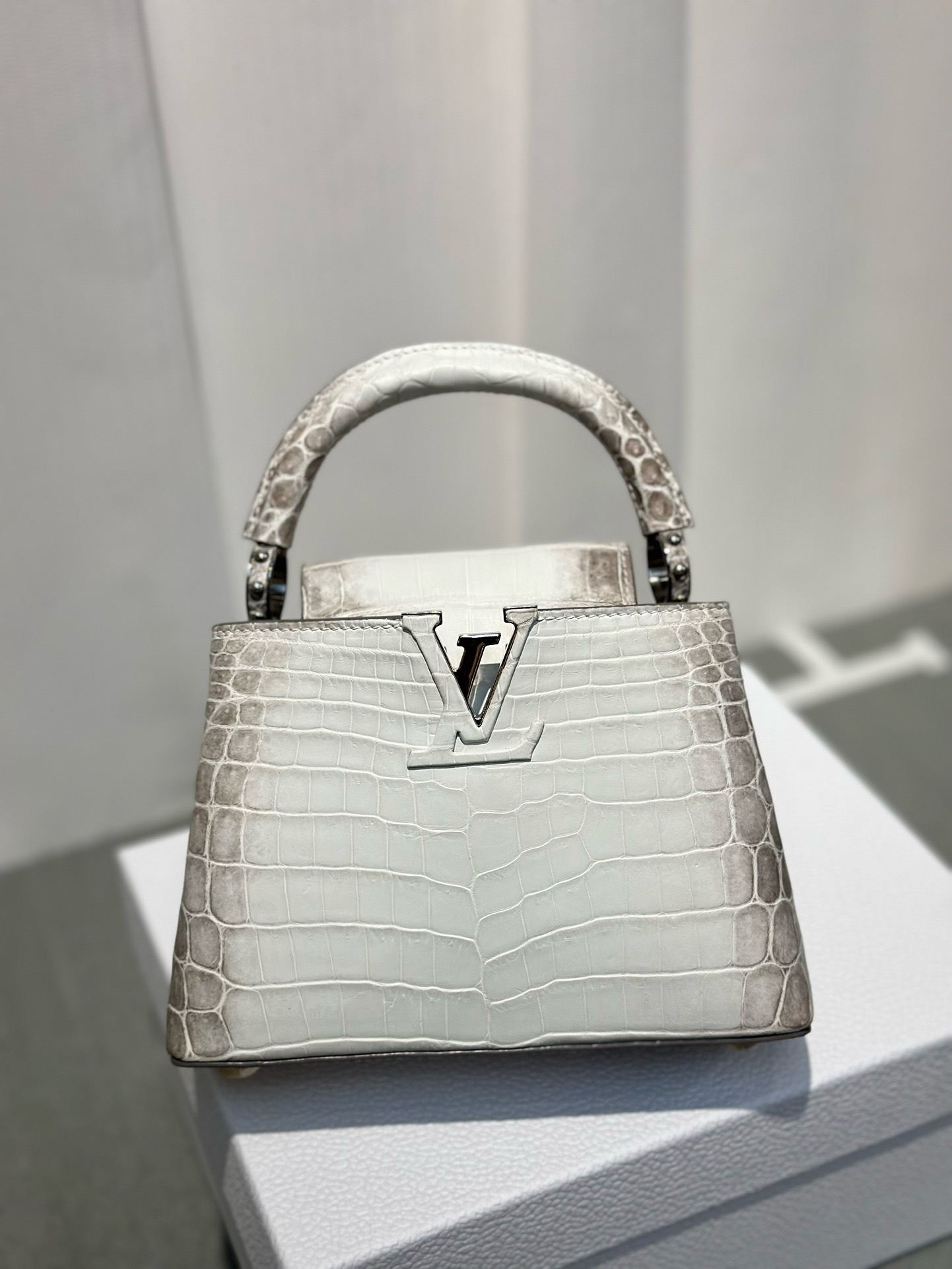 LOUIS VUITTON Himalaya Crocodile BB Capucines - BVPRIVE