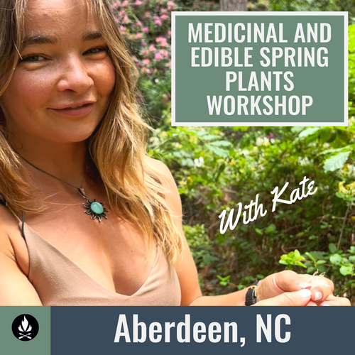 Wild Medicinal and Edible Spring Plants and Basic Medicine Making: 15 April 2023 (Aberdeen, NC)