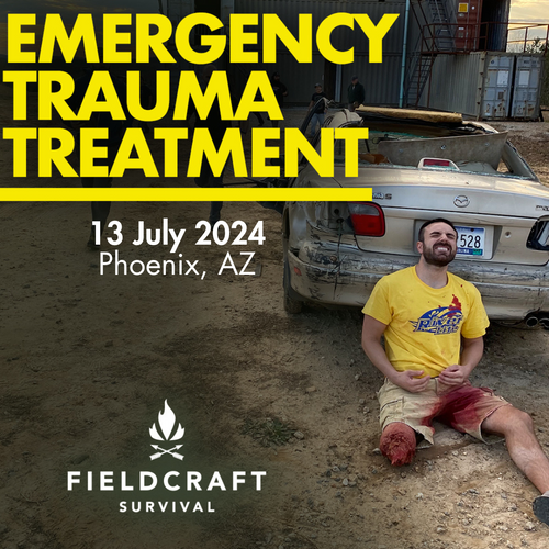 Emergency Trauma Treatment: 13 July 2024 (Phoenix, AZ - Midtown)