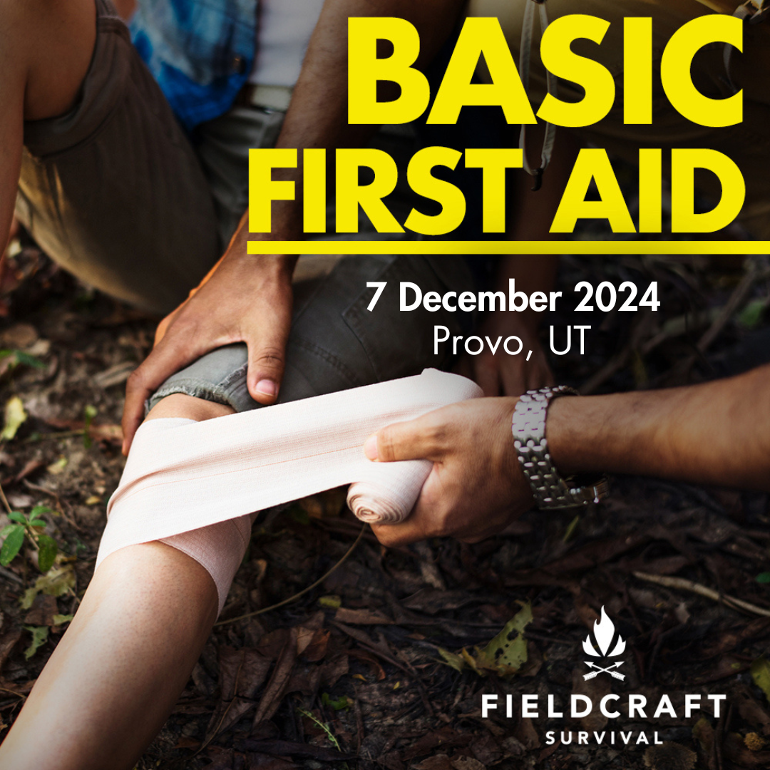 Basic First Aid : 7 December 2024 (Provo, UT)