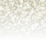 Falling snowflakes photography backdrop