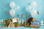 Peter Rabbit photographers backdrop. This backdrop is available as just a wall area as seen here and also with a floor attached as in the next image.you can also but a matching separate floor as in image 3 . This is Landscape with no floor 
Please say in the notes if you would like Landscape as seen here when ordering this design 
