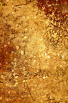 Beautiful Gold leaf effect backdrop.. perfect for fine art and artistic photography photoshoots 
Gold photography backdrop