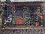 cute little flower shop photographers backdrop