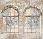 Vintage white room 001 
two windows with pretty winter Christmas view