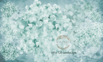 Hydranger Aquamarine handpainted fine art back drop