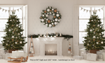 Landscape, no floor 
60" high and 100" wide 
white room with Christmas trees and fireplace backdrop 