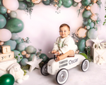 Pastel shades of green and gold balloon arch   -  photographers backdrop 002