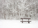 Snow Scene with Bench