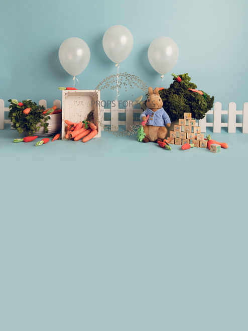 Designs by Honey Pie photography   -  photographers backdrops . . .Please Add to your notes if you would like landscape (with no Floor) or portrait with floor added ..thank you ... this is portrait with a floor 

Some of the props used in this image are from the fabulous Original photo blocks which can be purchased here. https://theoriginalphotoblocksprops.com

No designs are to used or resold as a digital image in any form.

 