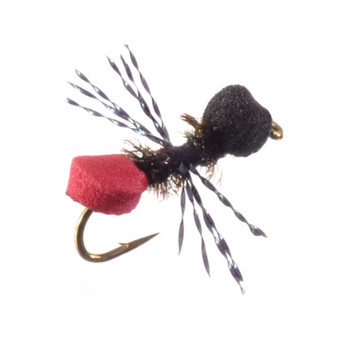 Umpqua Cow Killer Ant Black Red Image 1