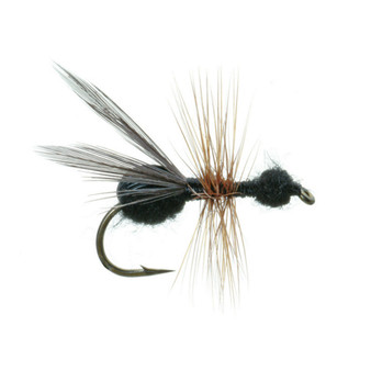 Umpqua Flying Ant Black Image 1