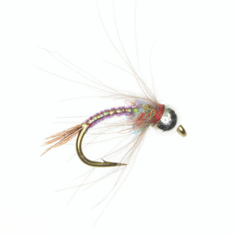 Umpqua TB CDC Rainbow Warrior