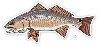 Redfish Decal