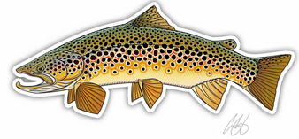 Brown Trout Decal