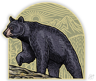 Black Bear Arch Decal