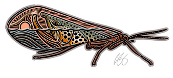 Caddis Scape Decal