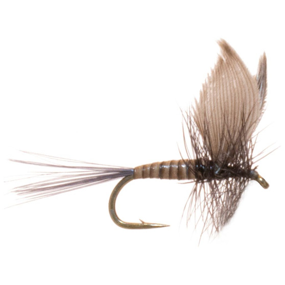 Umpqua Blue Quill Image 1