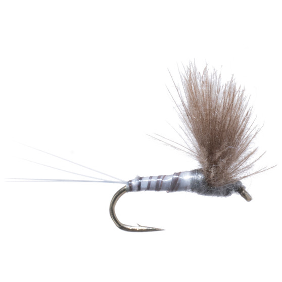 Umpqua Gray Baetis Cdc Biot Comparadun Image 1