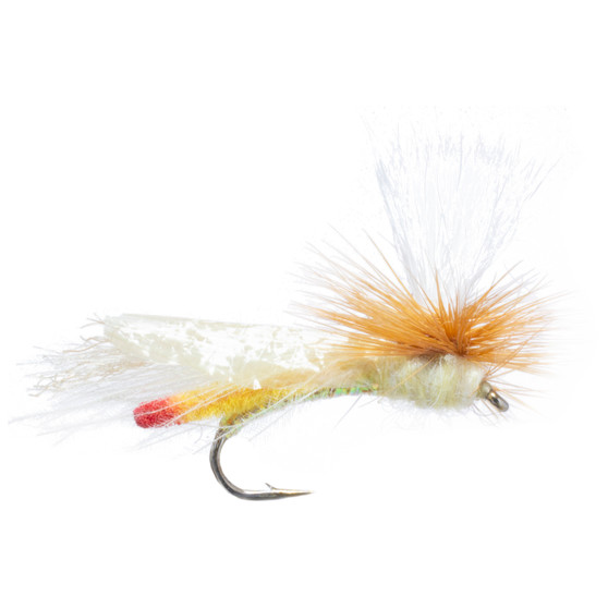 Umpqua Headlight Yellow Sally Image 1