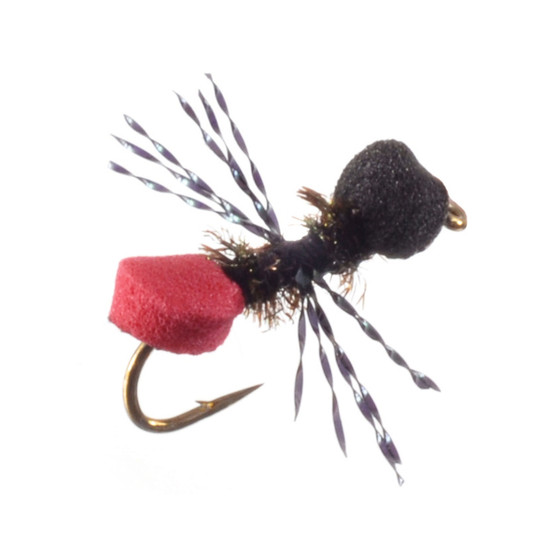 Umpqua Cow Killer Ant Black Red Image 1