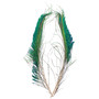 Wapsi Peacock Swords Natural Image 1
