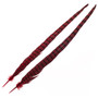 Wapsi Ringneck Pheasant Tail Feathers Red Image 1