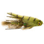 Umpqua Baby Gonga Olive Image 1