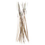 Polish Quills Polish Stripped Peacock Quills Olive Image 1