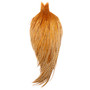 Whiting Farms Cape Barred Dark Ginger Image 1