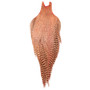 Ewing Dry Fly Cape 1 Shrimp Pink Grizzly Image 1