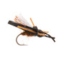 Hunter Banks Yoan Another Beetle