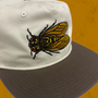 Crooked Creek Cicada Hat