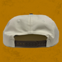 Crooked Creek Cicada Hat