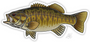 Smallmouth Decal