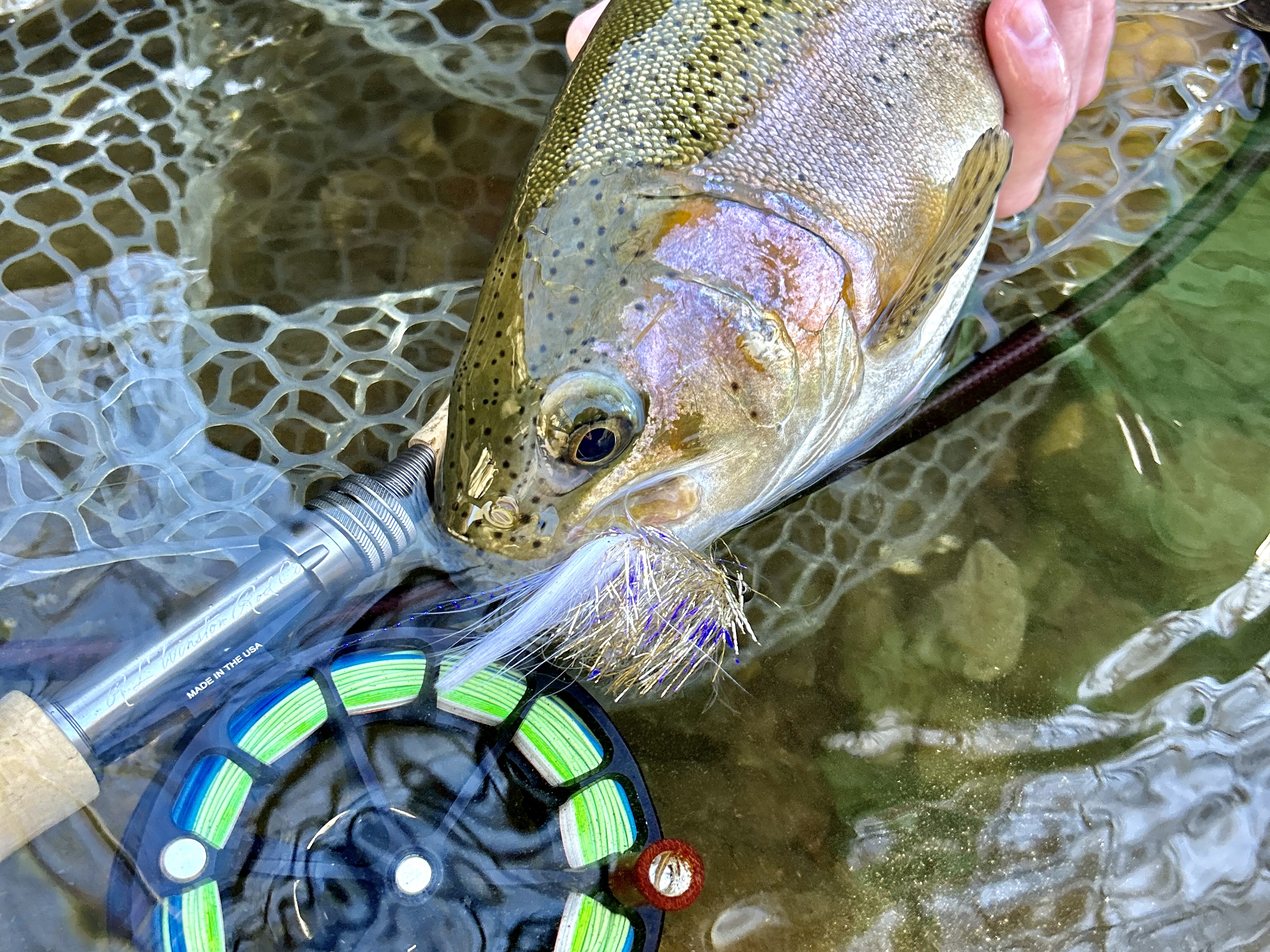 Hunter Banks Fly Fishing