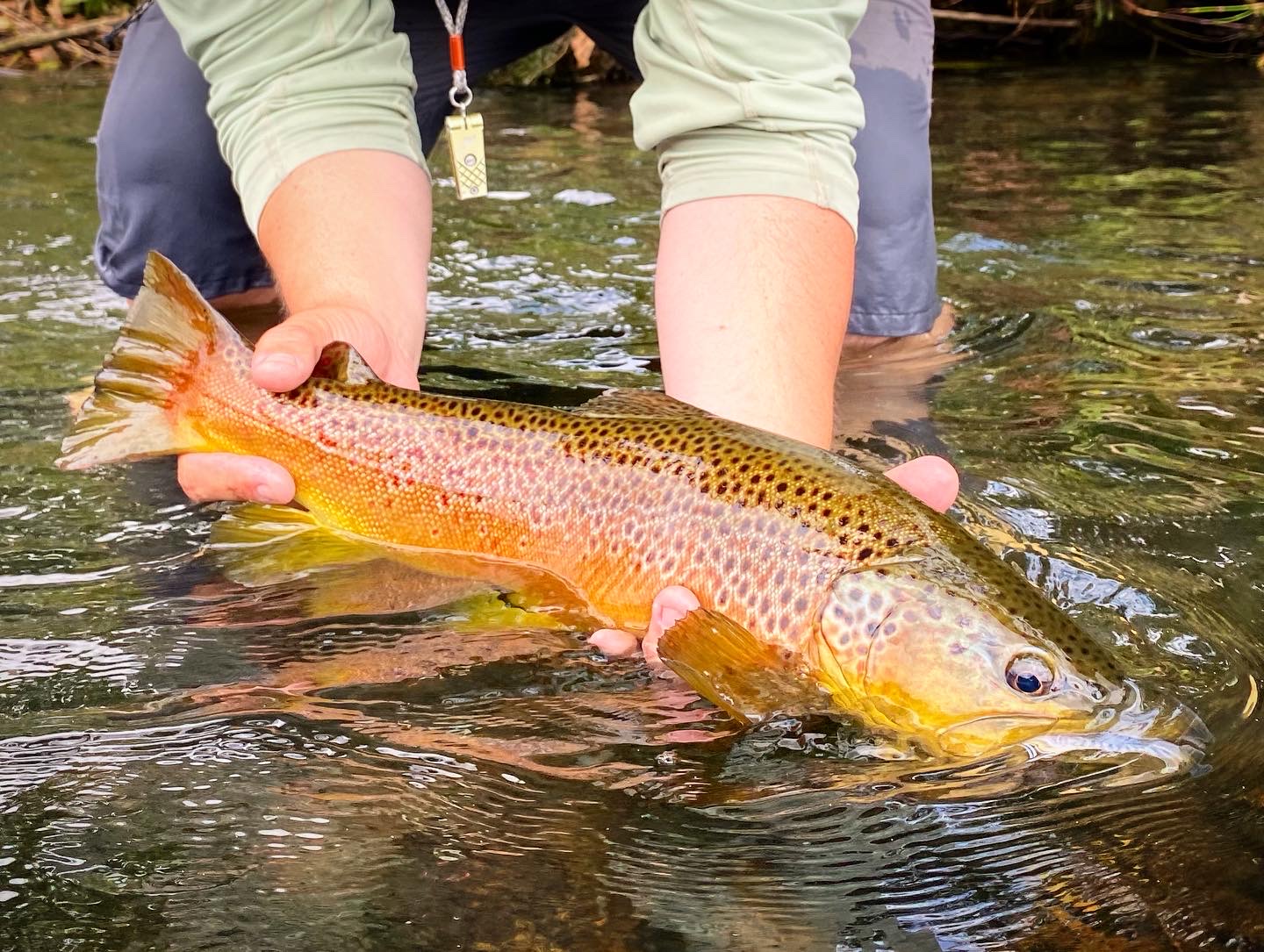 Rainy Day Trout Adventure  BATTENKILL Fly Fishing 