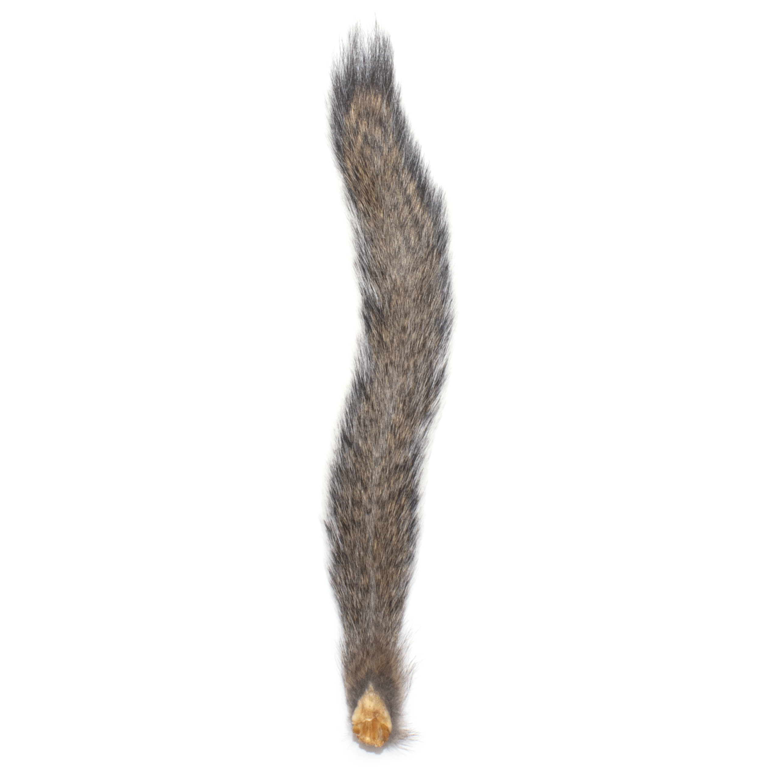 Hareline Fox Squirrel Tail