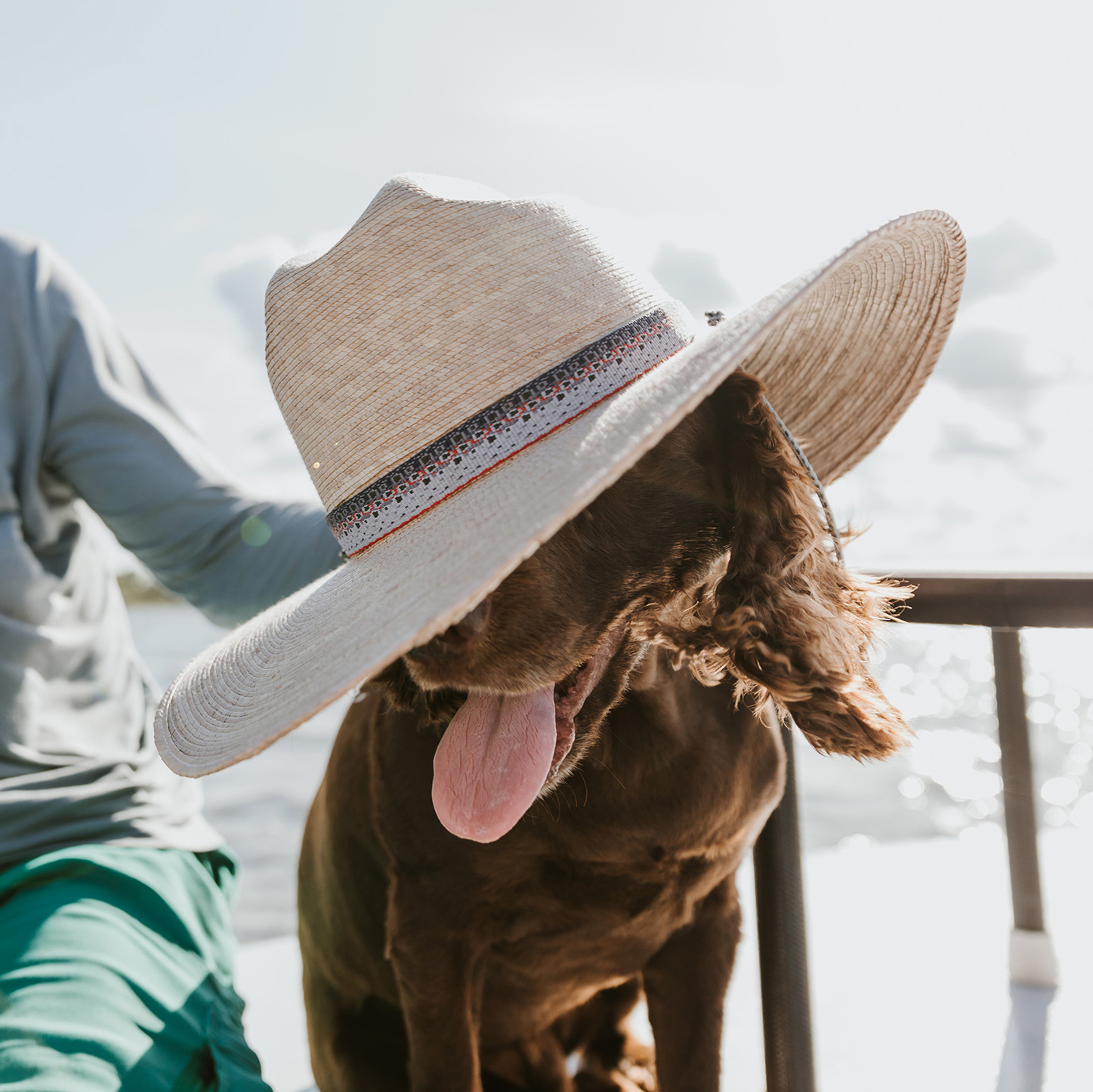 fishpond Lowcountry Hat - Tan - L