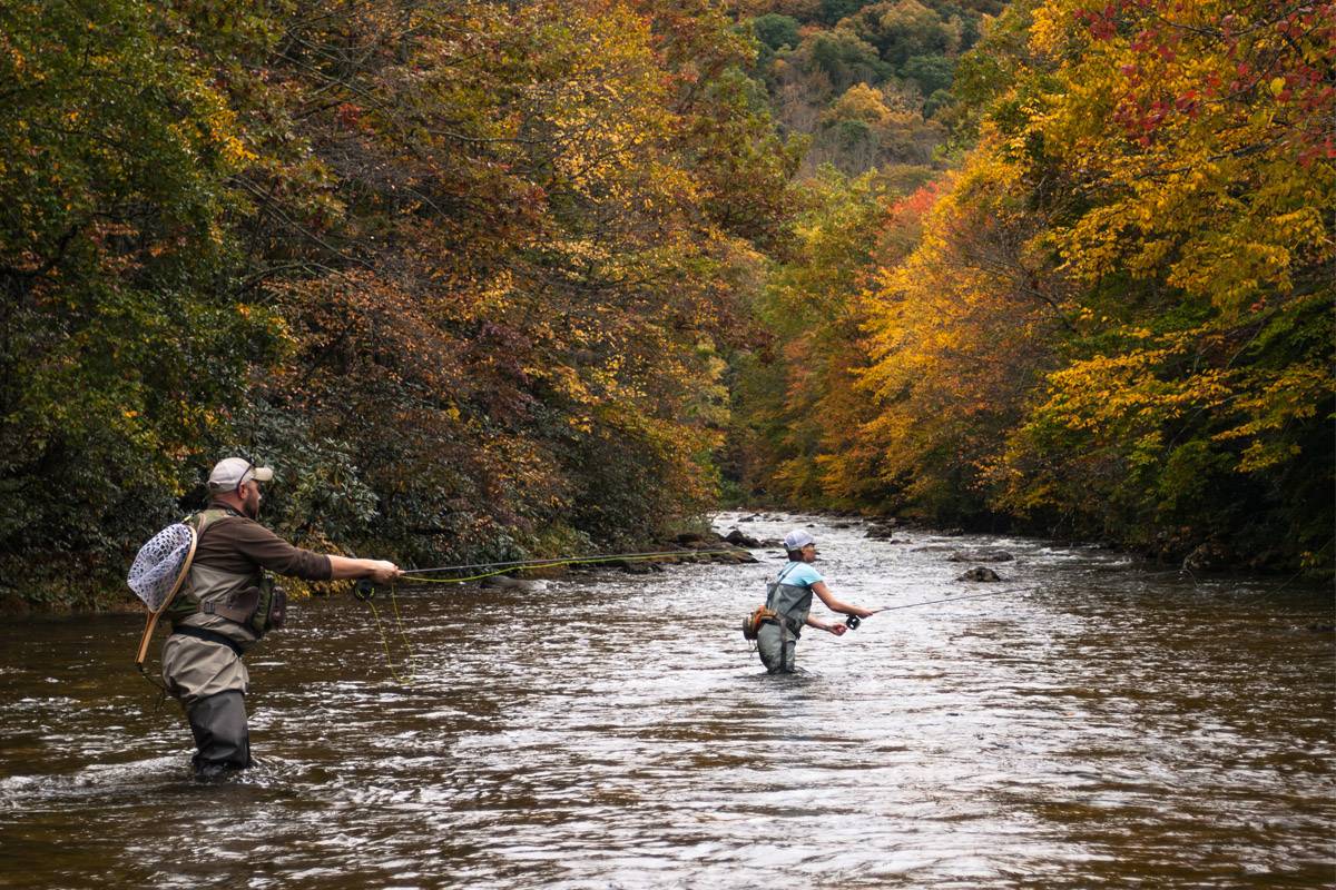 Guided Fly Fishing Trips
