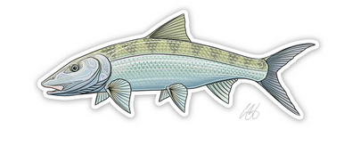 Bonefish Decal