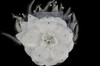 6" White Large Silk and Satin Single Flower with Pearl and Rhinestone - Pack of 6