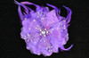 6" Purple Large Silk Single Flower with Pearl and Rhinestone - Pack of 6