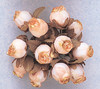 Peach Dry Polyester Rose with Gold Trim - Pack of 144