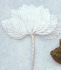 1 3/4" White Flower Leaf - Pack of 6 Gross