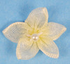 3/4" Ivory Organza Star Flowers with Pearl - Pack of 144 Pieces