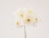 1.5" Ivory Organza Flowers with Rhinestones - Pack of 72